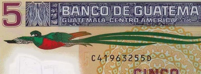Primer plano de un billete de 5 quetzales de Guatemala, con el ave quetzal, estilo numismática y notafilia