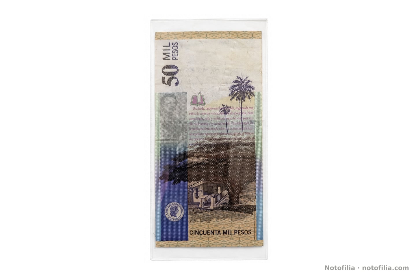 Back of the 50,000 pesos, Pick 455l: the excerpt from María, the palms, Hacienda El Paraíso, and the Banco de la República seal.