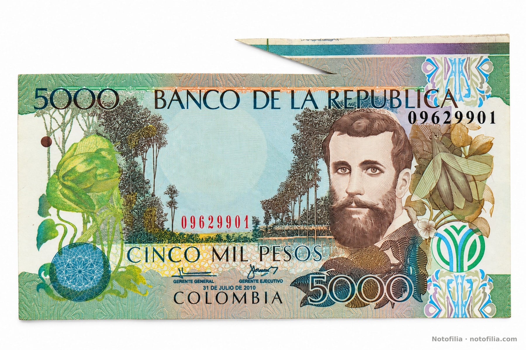 Face of the 5,000 pesos, Pick 452l: Silva, the date 31 July 2010, serial 09629901, and the butterfly flap on the top edge.