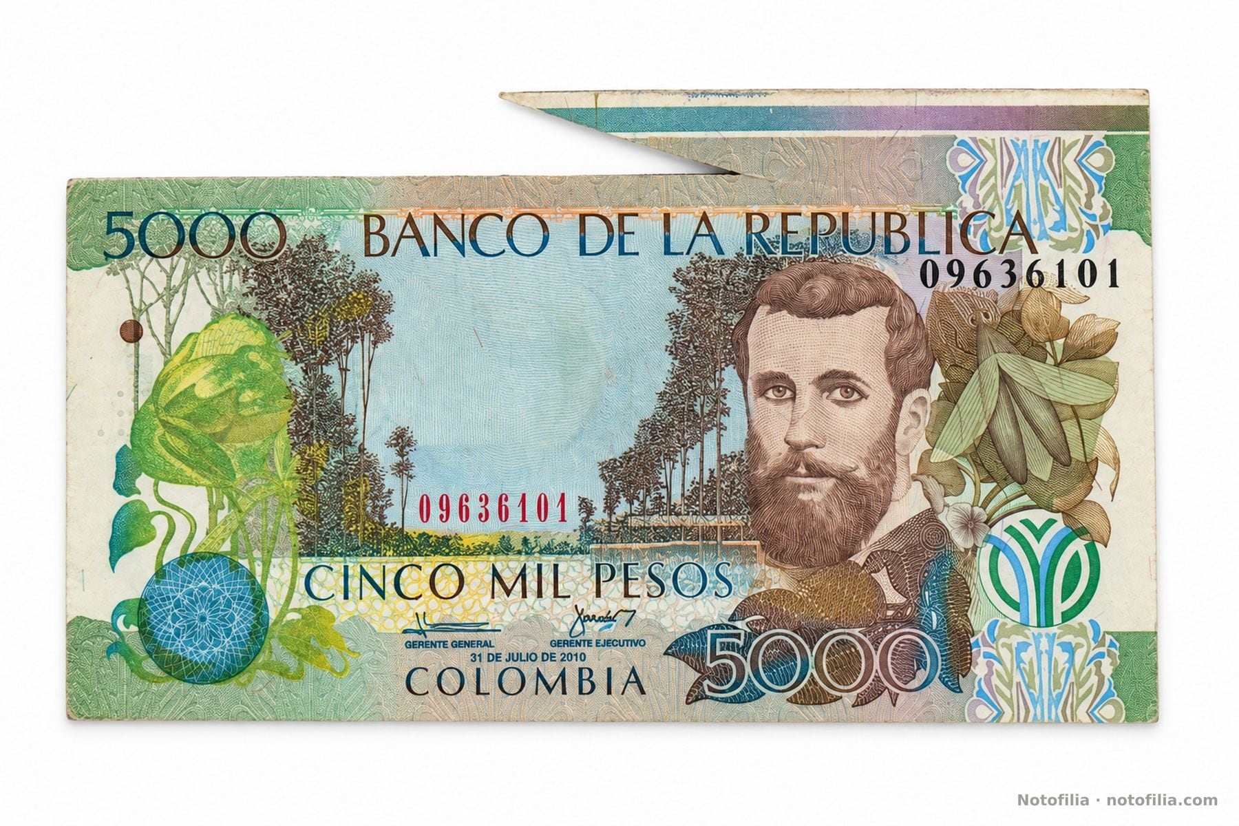 Face of the 5,000 pesos, Pick 452l: Silva, the date 31 July 2010, serial 09636101, and the butterfly flap on the top edge.