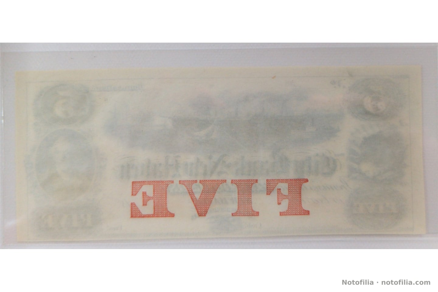 Back in a sleeve: the red FIVE protector reads reversed as a see-through; no separate engraved reverse or serial.