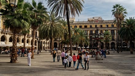 Barcelona’s Plaça Reial with palm trees, arcades, and a Gaudí lamppost
